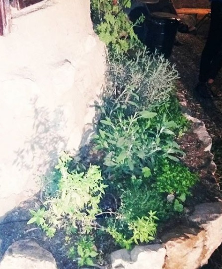 גינת תבלין במסלעה בירושלים גינת תבלין במסלעה בירושלים